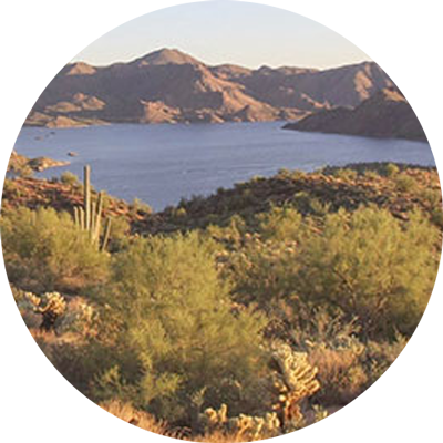 Arizona Great Adventure Fishing LLC - ARIZONA FISHING GUIDE 
FOR LAKE PLEASANT, LAKE BARTLETT, LAKE ROOSEVELT, LAKE SAGUARO, 
LAKE CANYON, LAKE APACHE, AND ALAMO LAKE